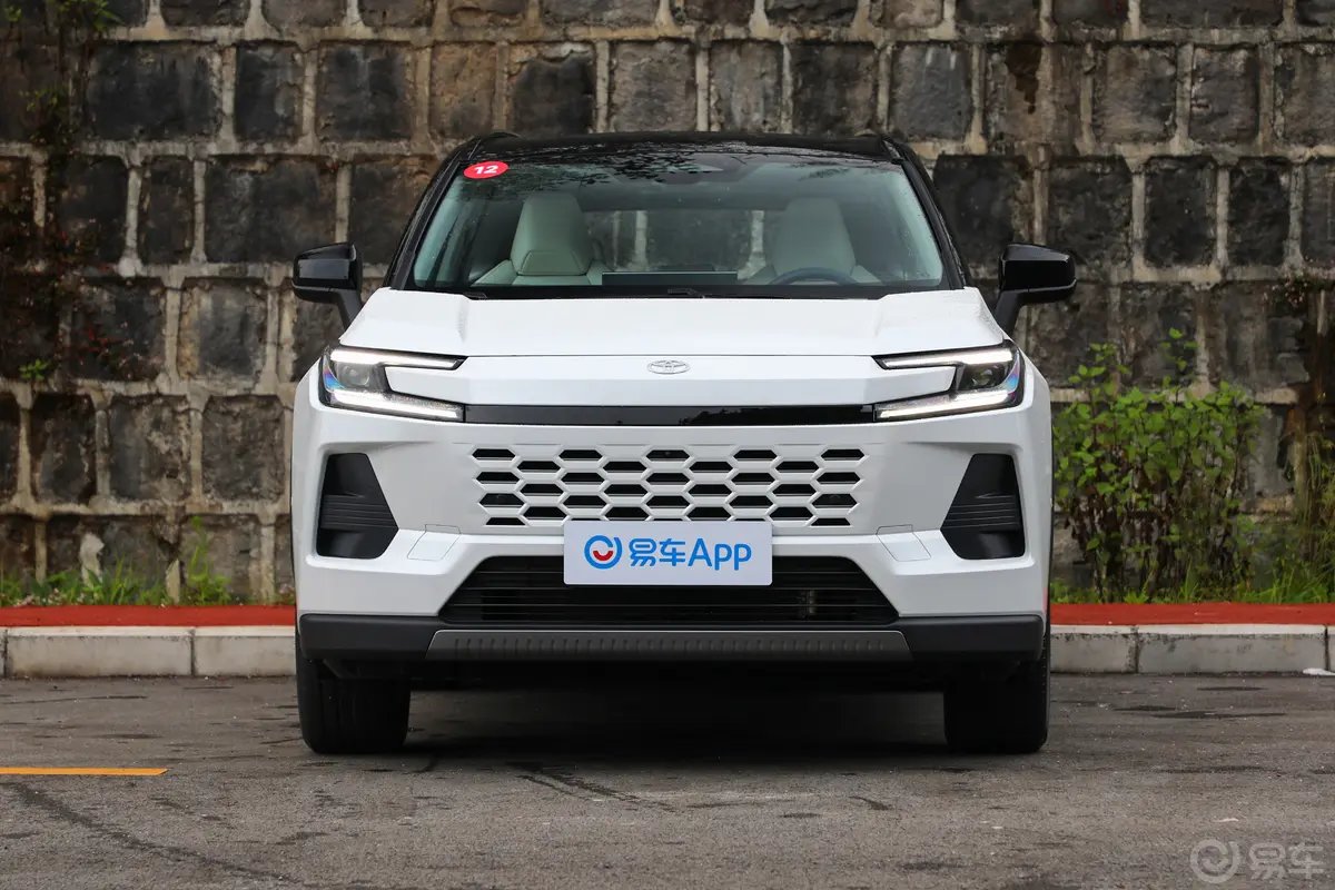 威兰达双擎 2.5L 四驱MAX正前水平