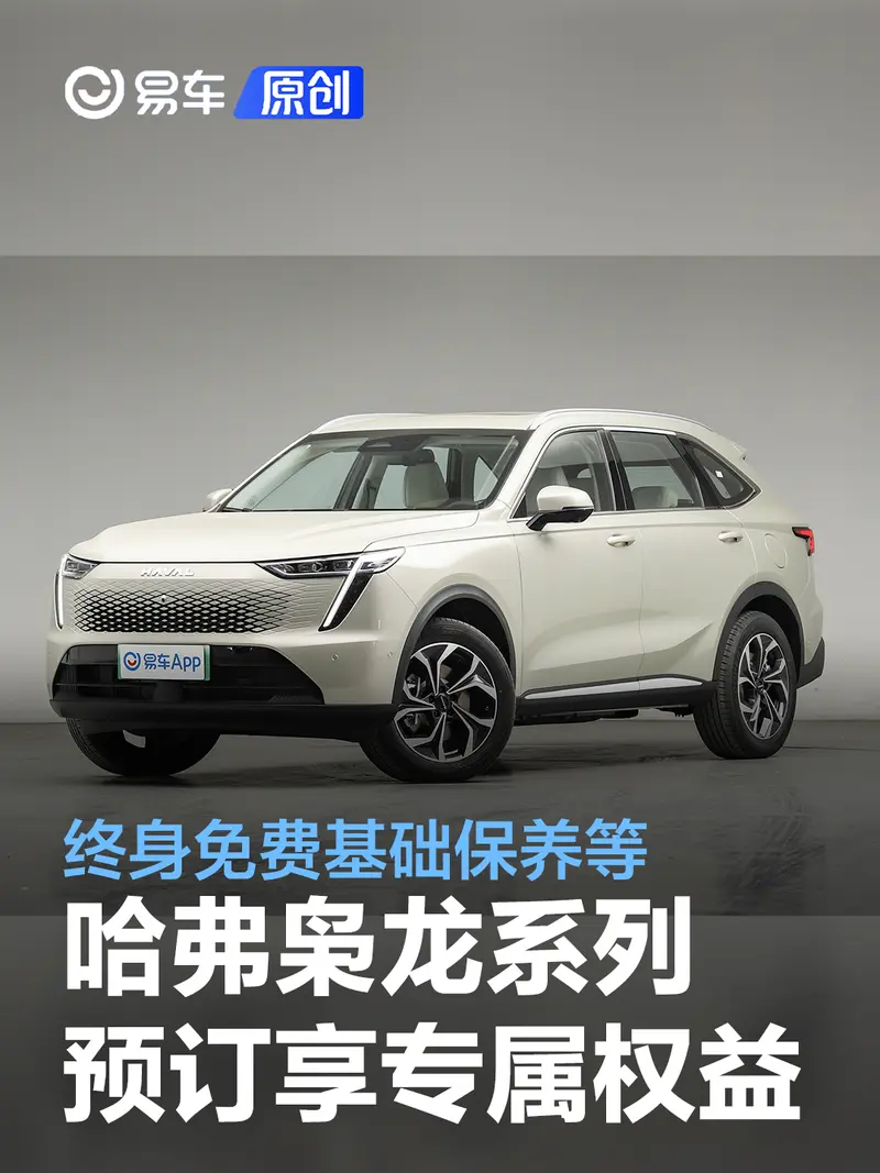 哈弗枭龙系列预订享专属权益 首任车主终身免费基础保养等